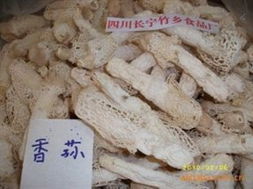 深山珍品 四川省长宁县竹乡食品厂直供的野生香荪与竹荪干货