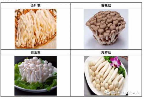 万辰生物深交所上市 靠卖金针菇市值38亿，揭示食用菌行业蜕变新篇章